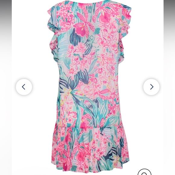 Lilly Pulitzer Dress - Picture 6 of 8